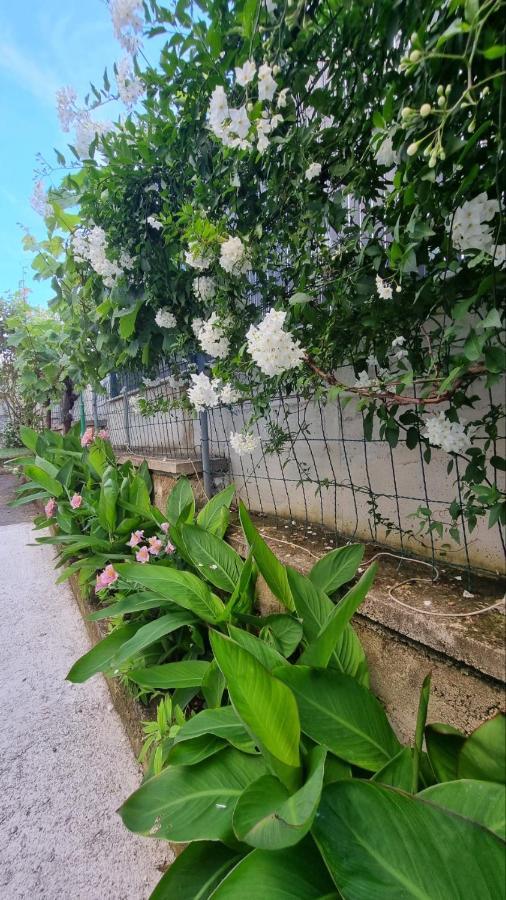 Guest House Jasmin Rovinj Exterior foto