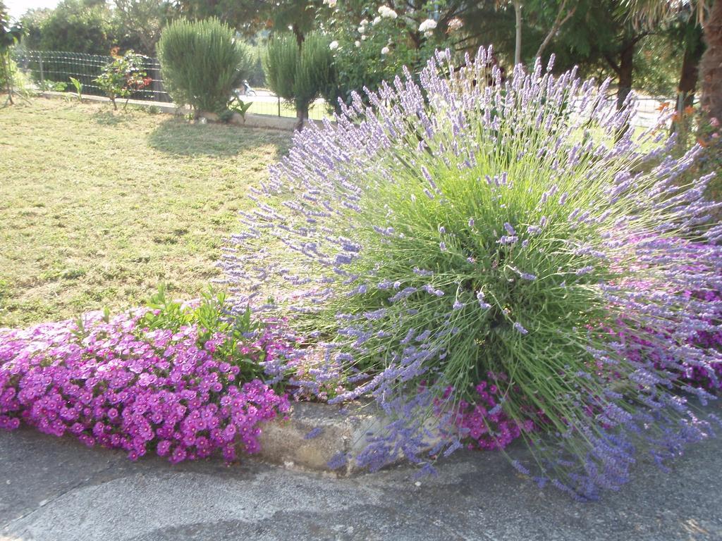 Guest House Jasmin Rovinj Exterior foto